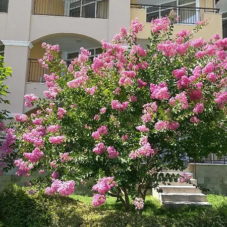Lägenhet Midia Grant Resort, Studio Flat *